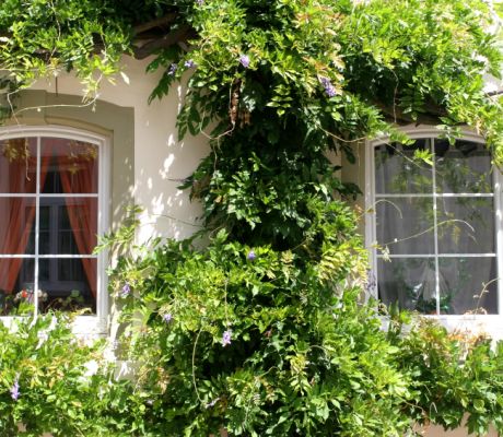 Mortgage rates: is a tracker or fixed rate mortgage best?