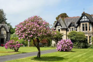 Arranging mortgages for clients with large assets but relatively low personal income