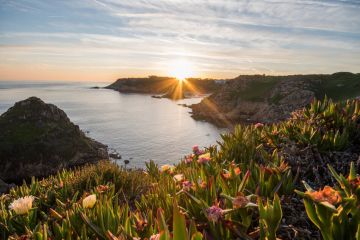 Large interest-only mortgage for Jersey property 